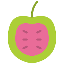 vitalbitezone.com favicon